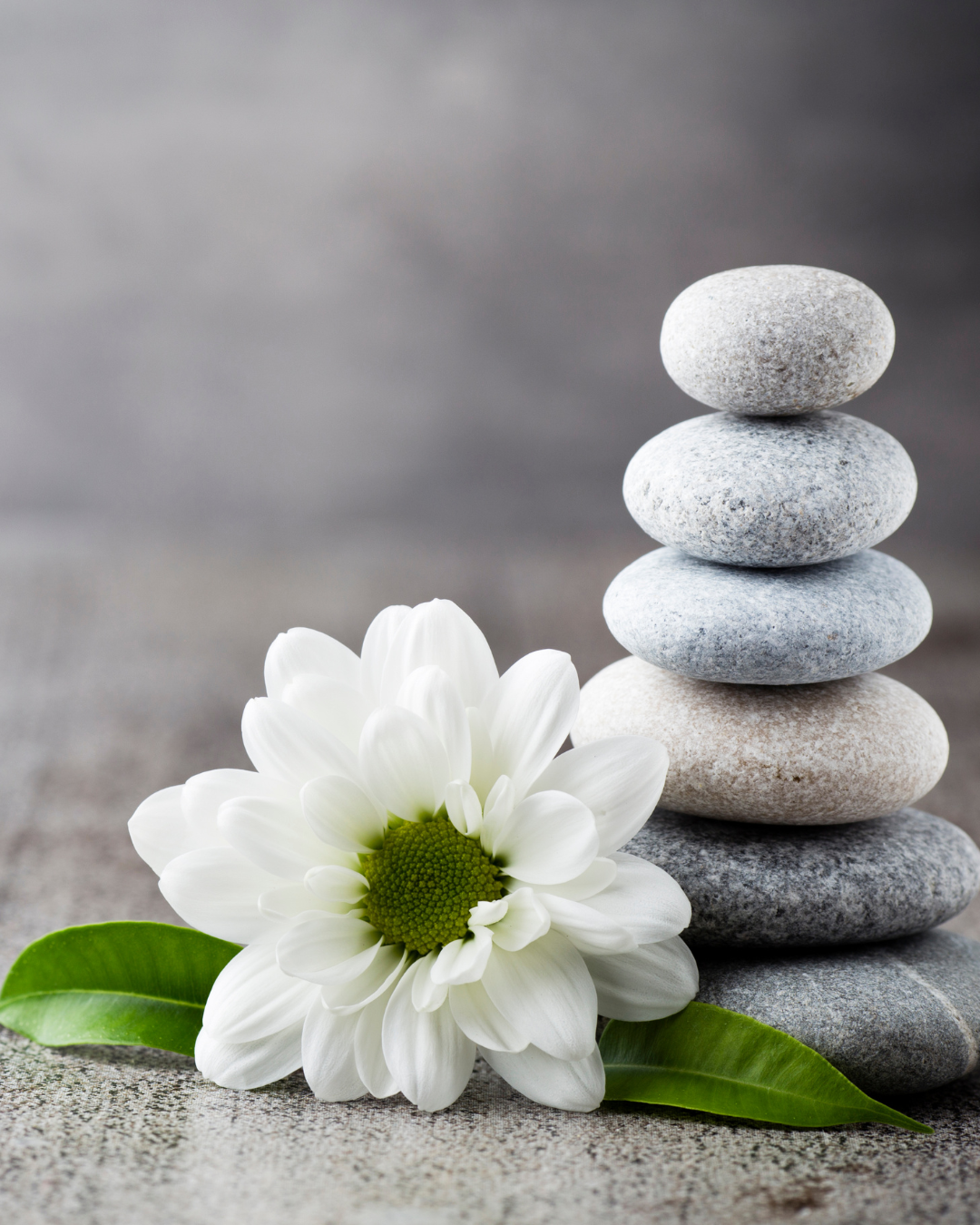 Heart-to-Heart Series